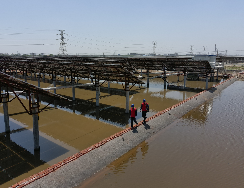 山东省电线电缆行业AG体育平台 山东省电线电缆行业AG体育平台