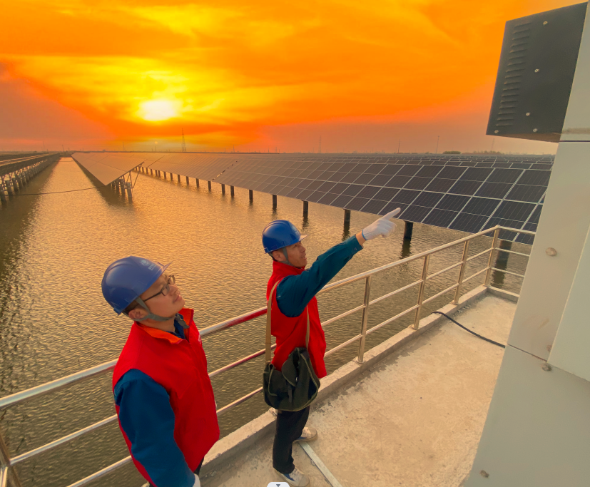 山东省电线电缆行业AG体育平台 山东省电线电缆行业AG体育平台