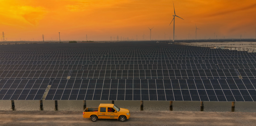 山东省电线电缆行业AG体育平台 山东省电线电缆行业AG体育平台