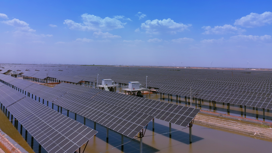 山东省电线电缆行业AG体育平台 山东省电线电缆行业AG体育平台